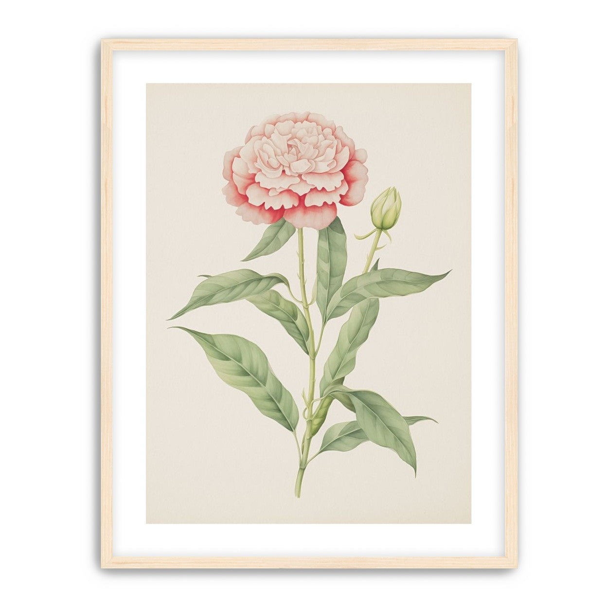 Delicate Blush
