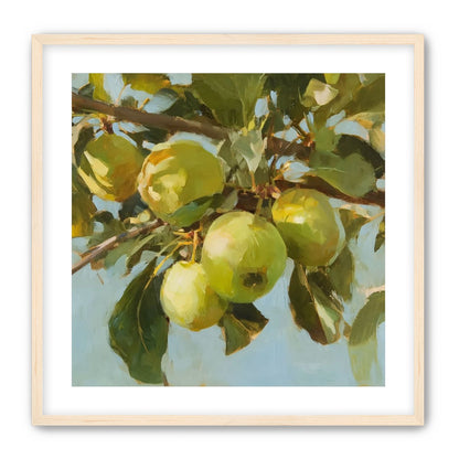 Green Apples