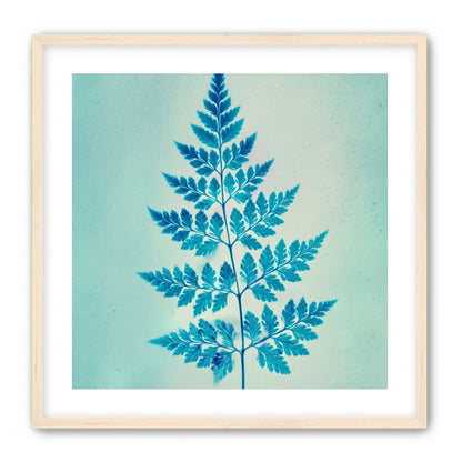 stems and leaves