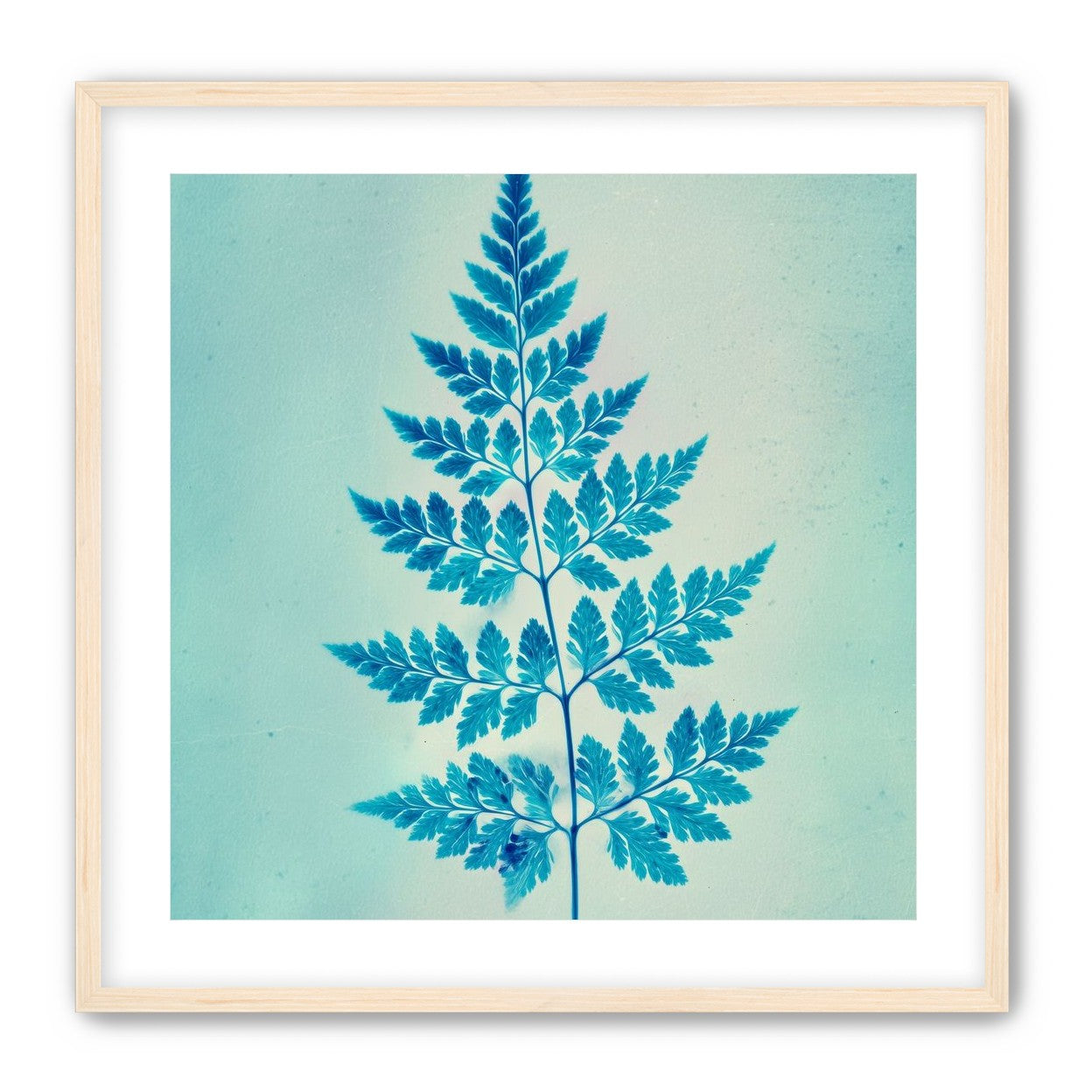 stems and leaves