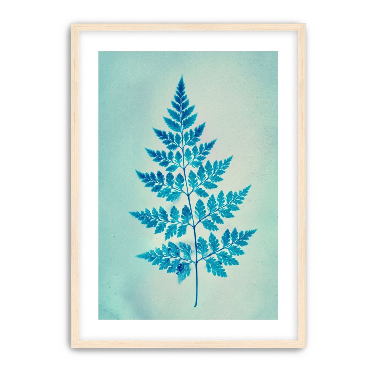stems and leaves