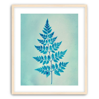 stems and leaves
