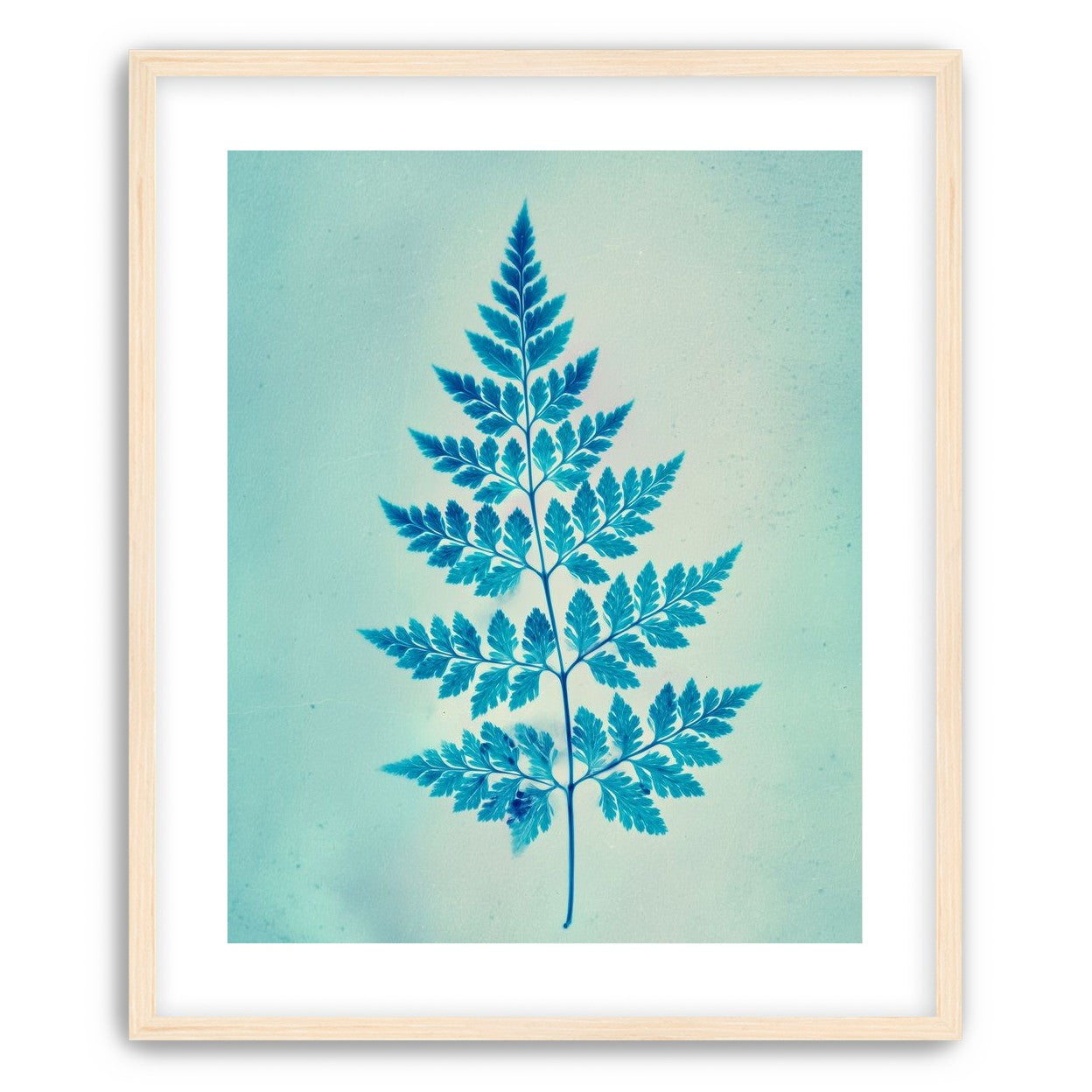 stems and leaves