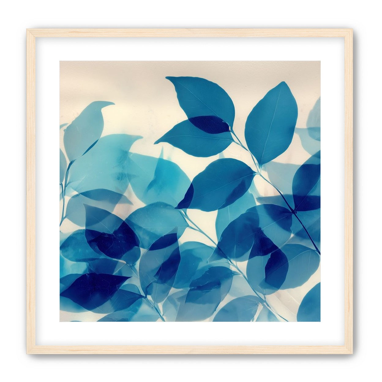 Leaves Spread in Light