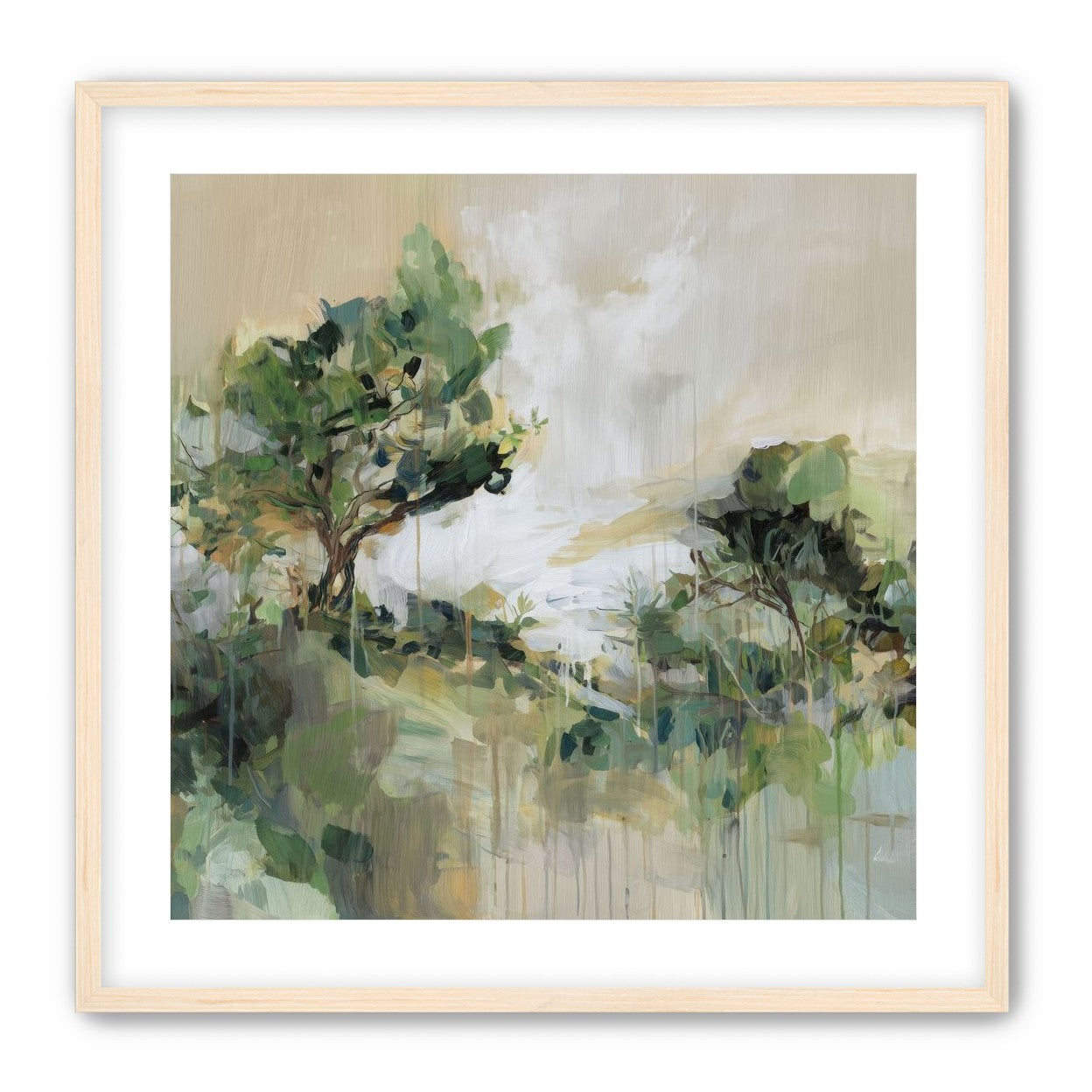 Tree Canopies in Pale Light