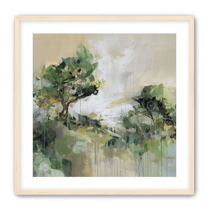 Tree Canopies in Pale Light