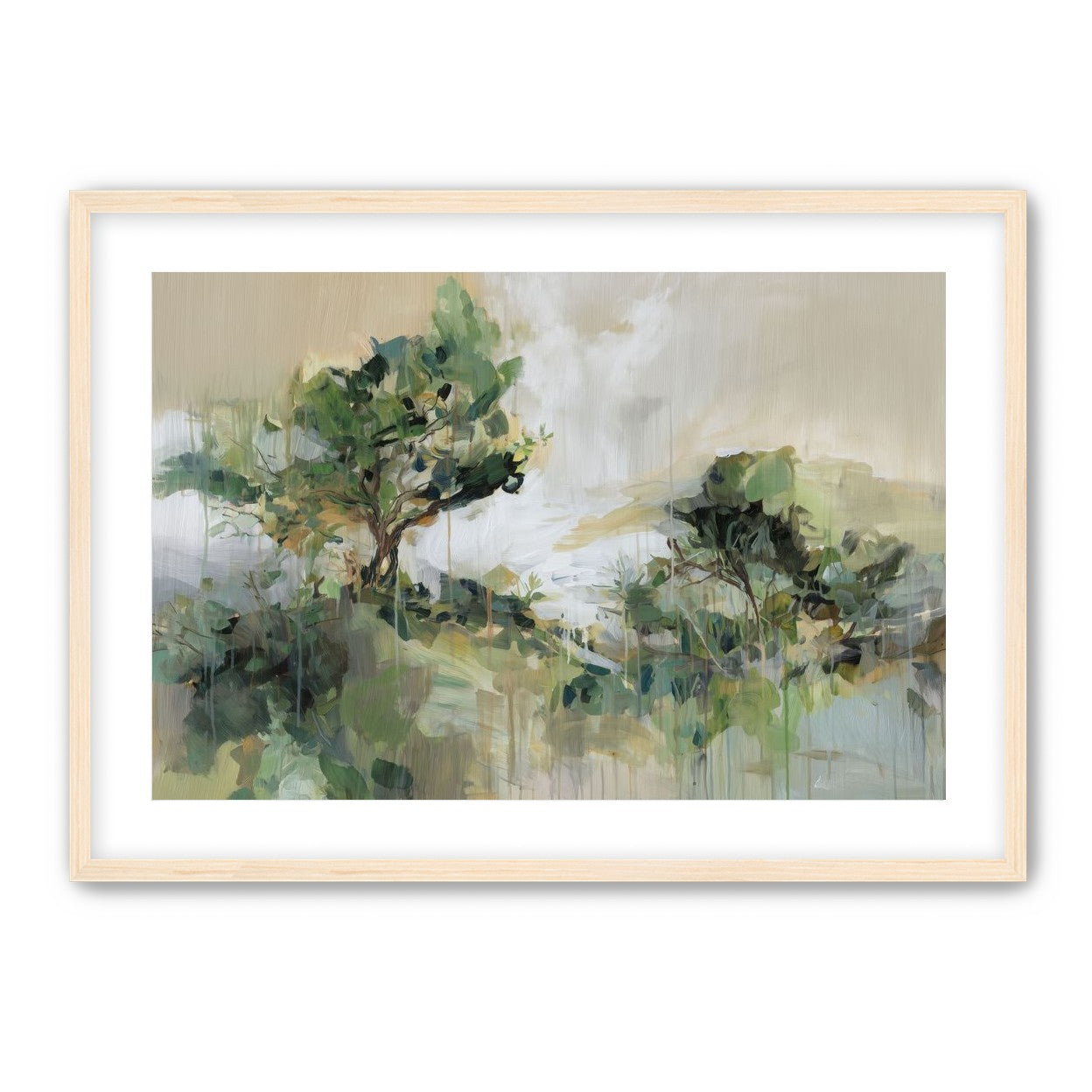 Tree Canopies in Pale Light