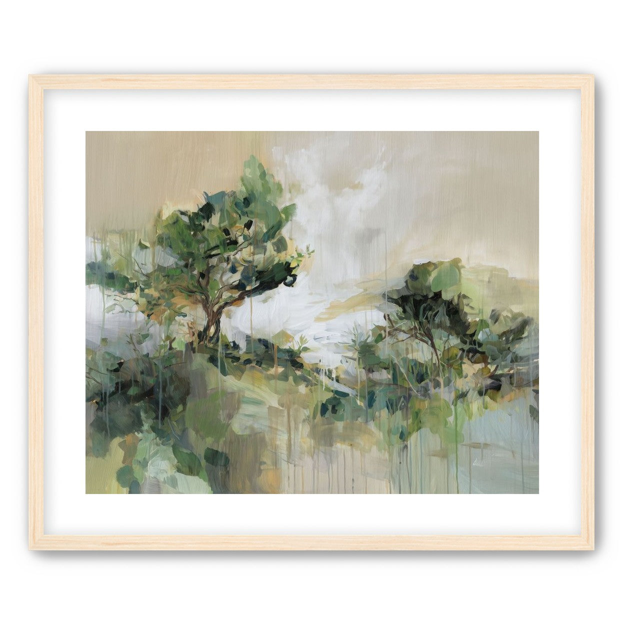 Tree Canopies in Pale Light