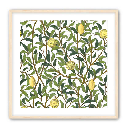 Lemon Garden
