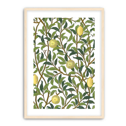 Lemon Garden