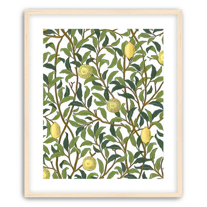 Lemon Garden