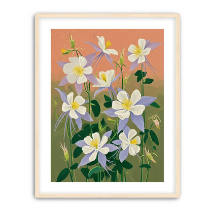 Evening Color in the Flowers
