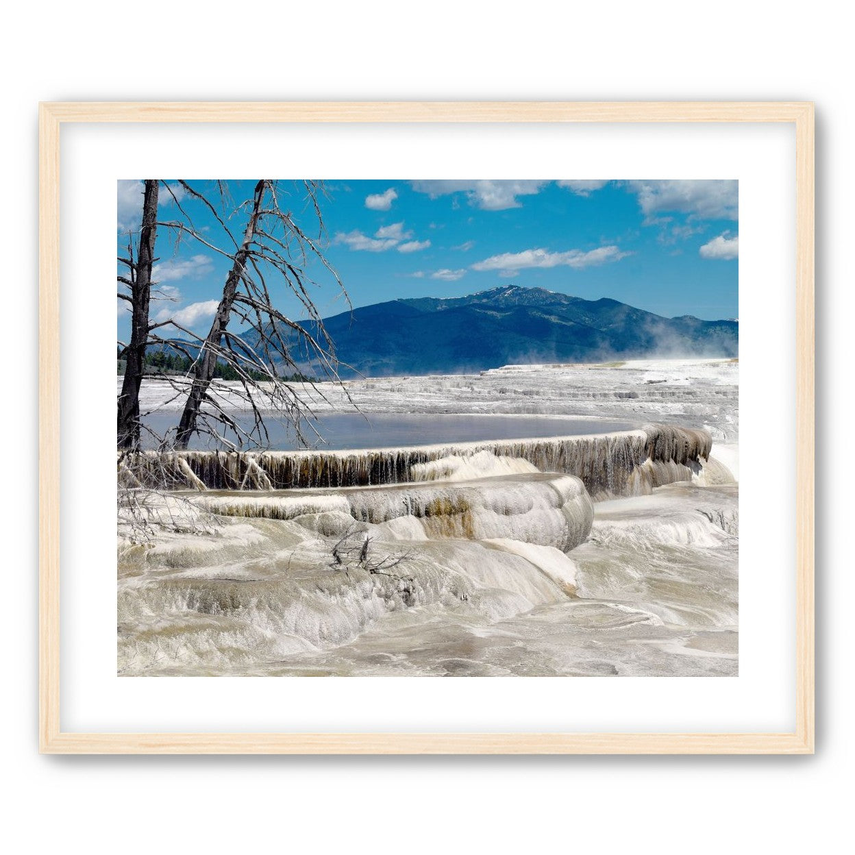 Mammoth Hot Springs