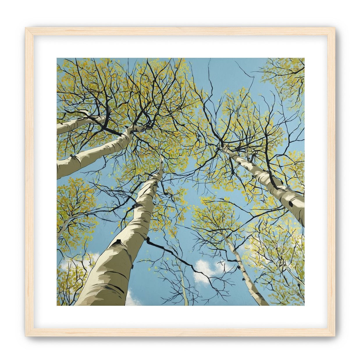 Yellow Leaves Against the Sky