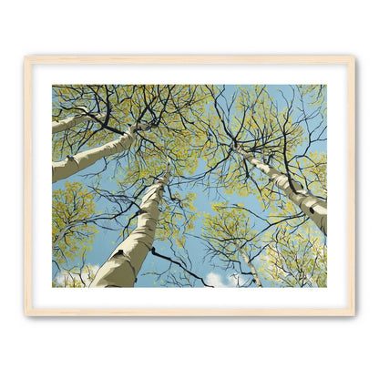 Yellow Leaves Against the Sky