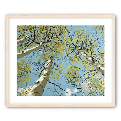 Yellow Leaves Against the Sky