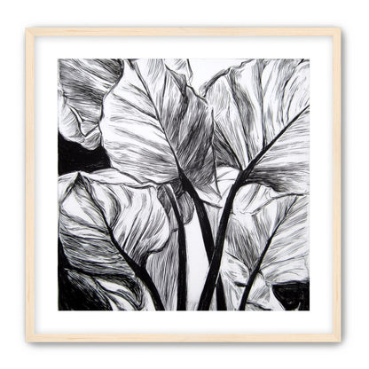 Overlapping Leaves on Dark Ground