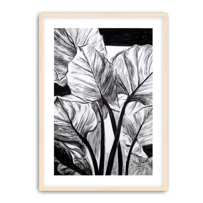 Overlapping Leaves on Dark Ground