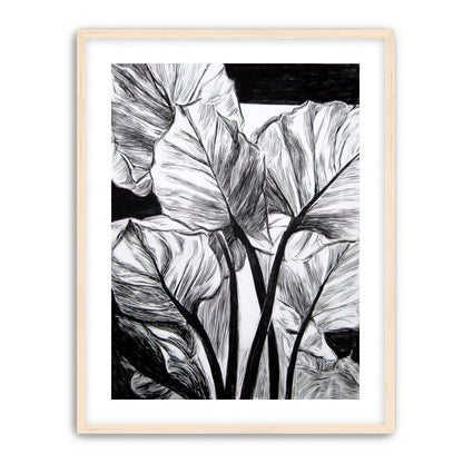 Overlapping Leaves on Dark Ground