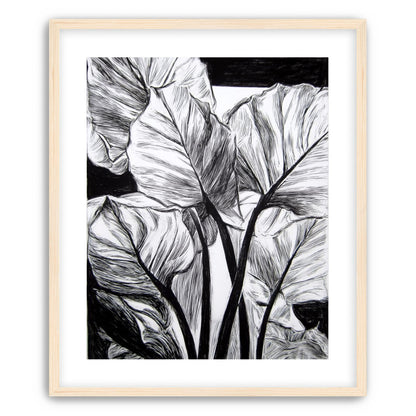 Overlapping Leaves on Dark Ground