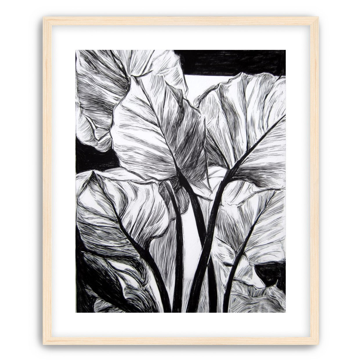 Overlapping Leaves on Dark Ground