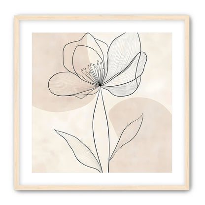 Single Bloom