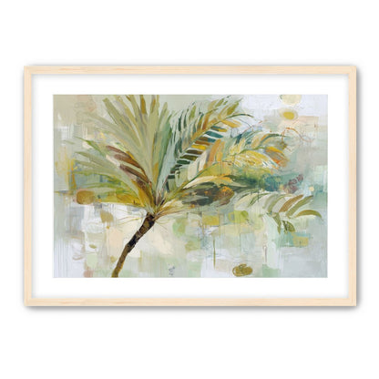 Loose Palm Study