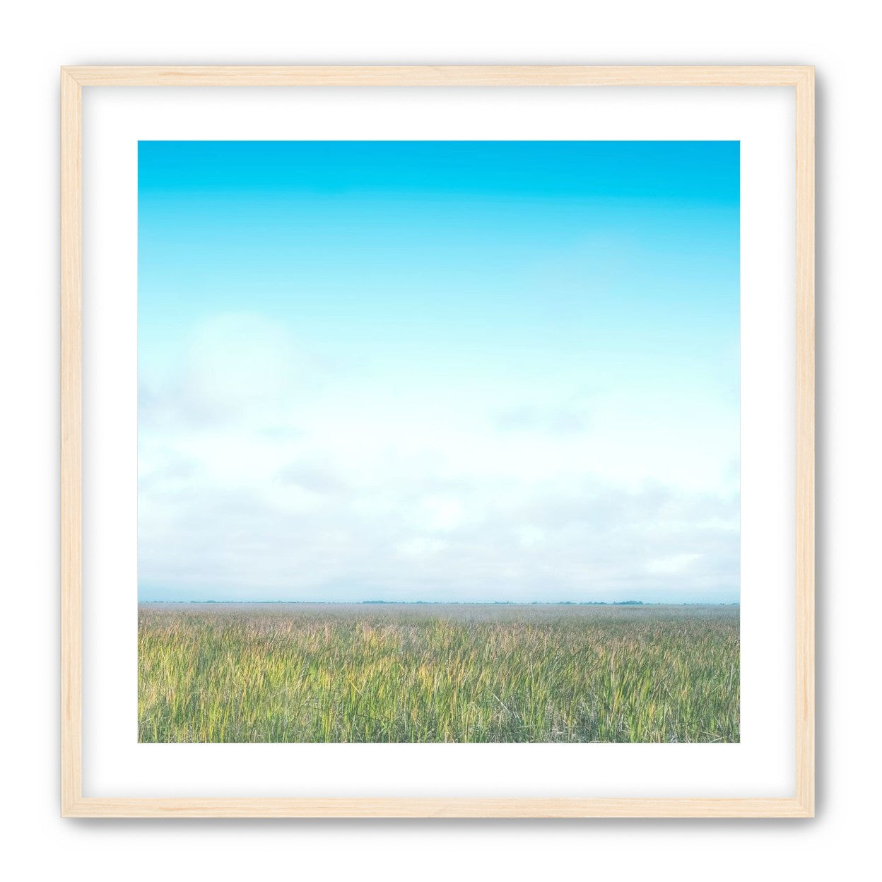 Grasslands