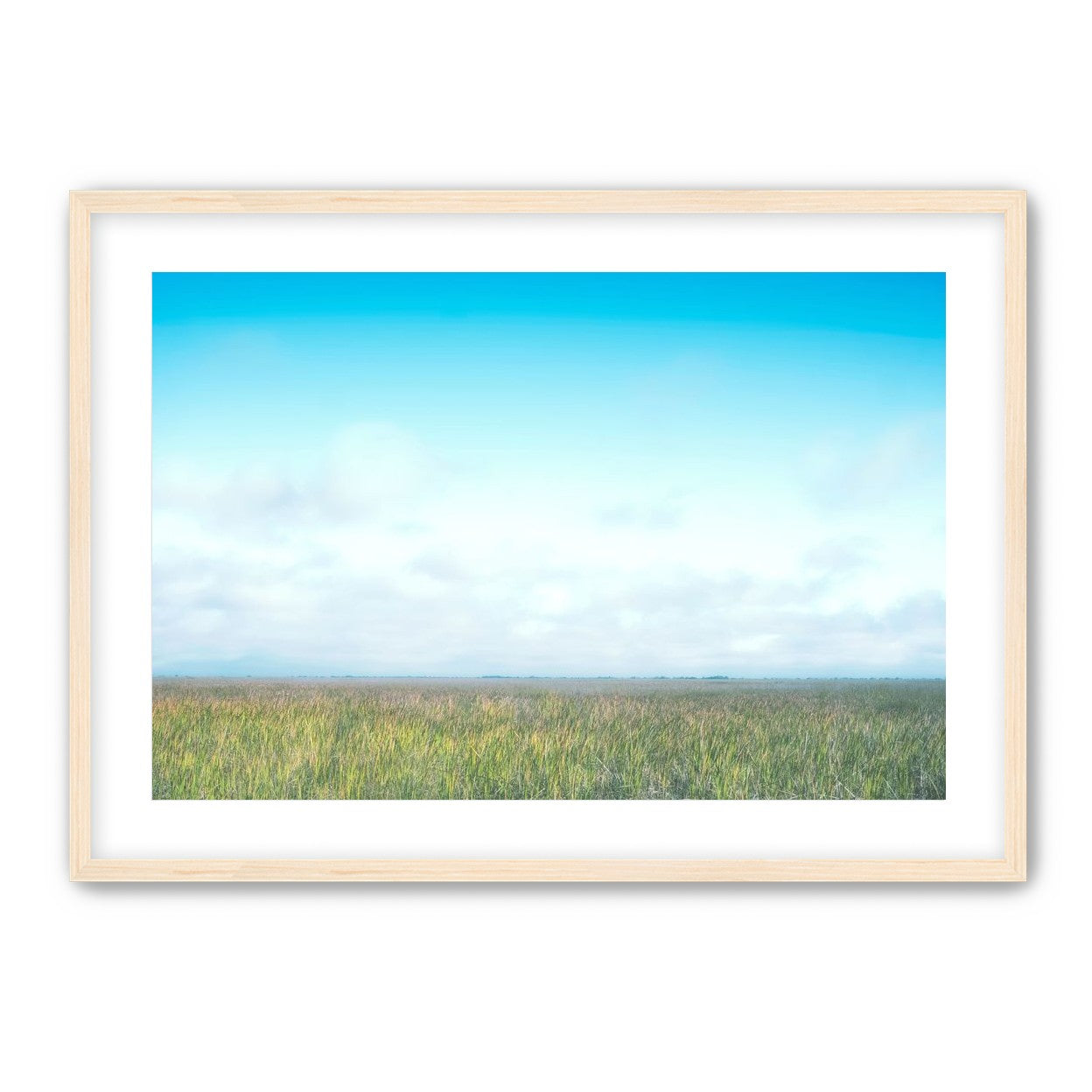 Grasslands