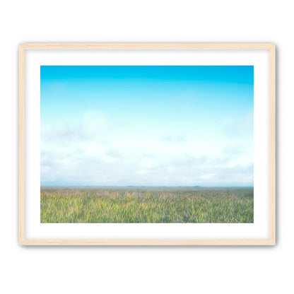 Grasslands