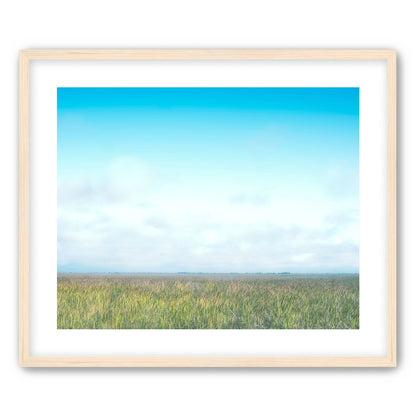 Grasslands