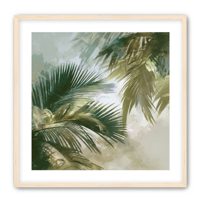 Palm Canopy