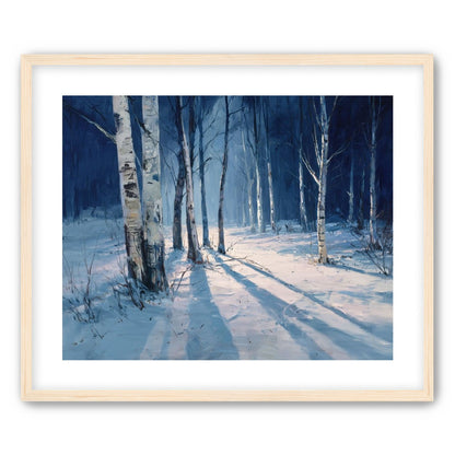 Snow Shadows Between Trunks