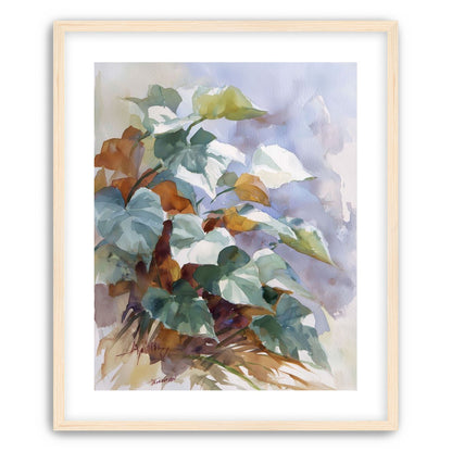 Garden Leaves After Rain