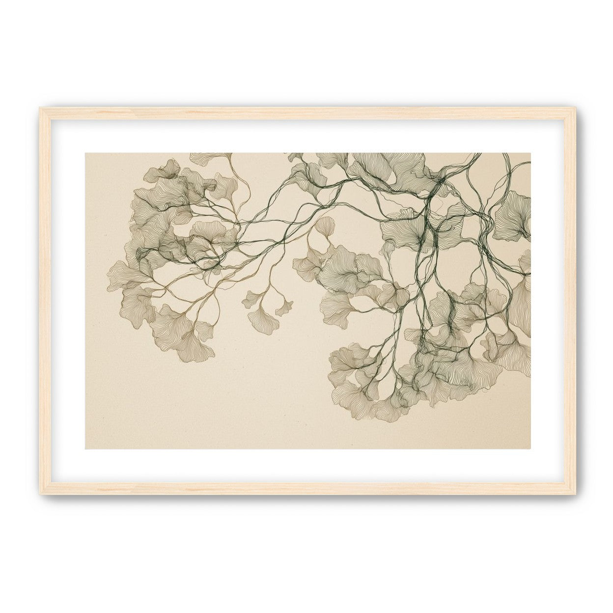 Open Canopies in Ink