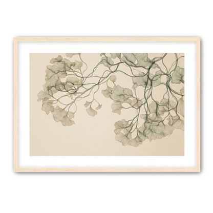 Open Canopies in Ink