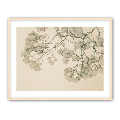 Open Canopies in Ink