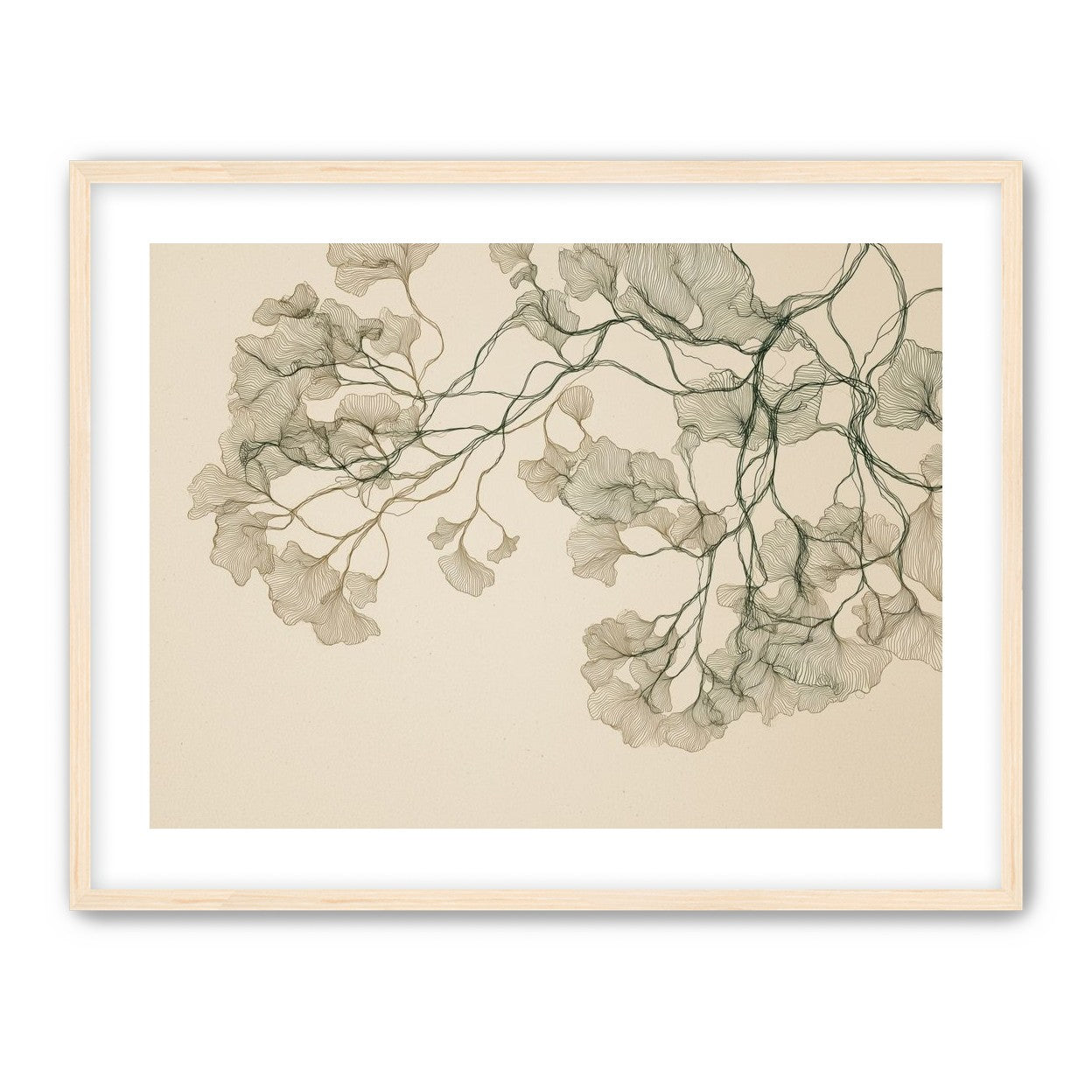 Open Canopies in Ink