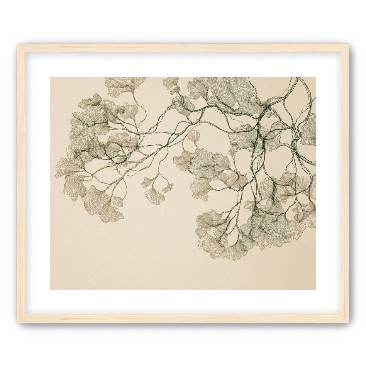 Open Canopies in Ink