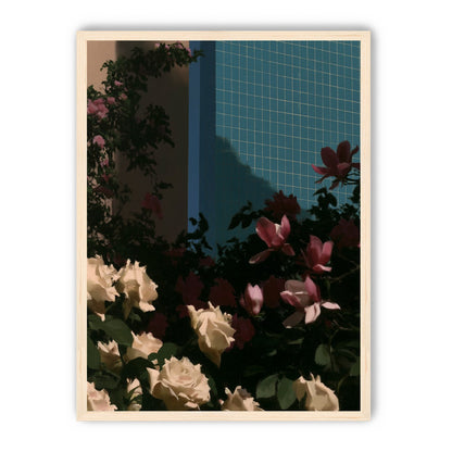 Flowers beneath the tiled wall
