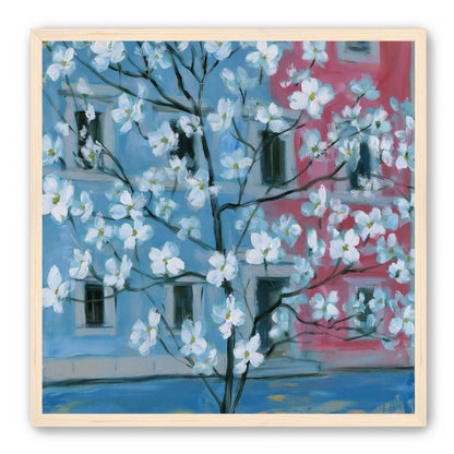 White blossoms across blue and pink