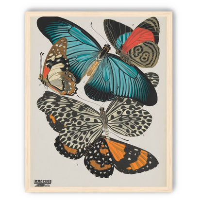 Turquoise wings over orange velvet