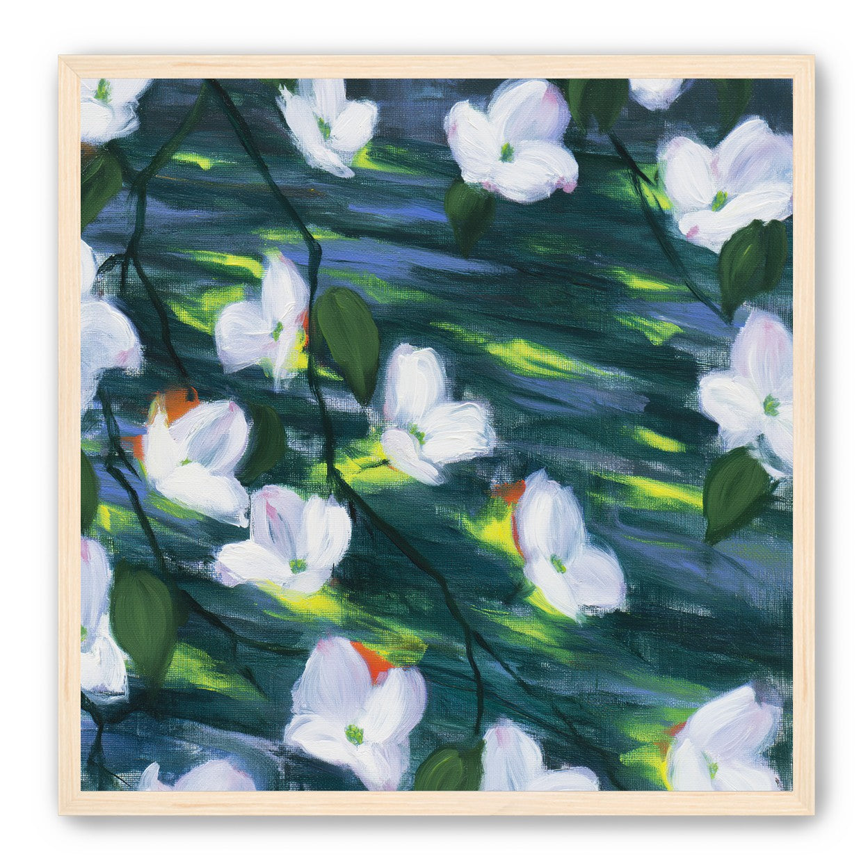 White blossoms on dark water