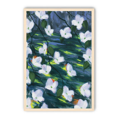 White blossoms on dark water