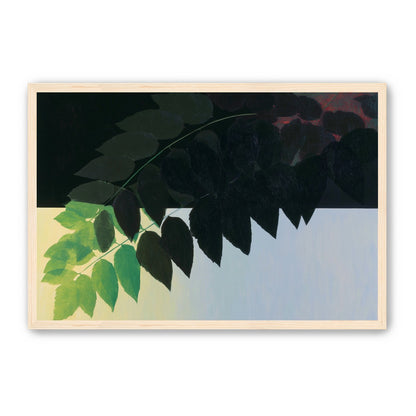 Leaves crossing into shadow