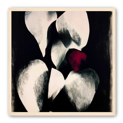 Red petal in shadowed bloom