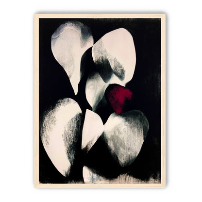 Red petal in shadowed bloom