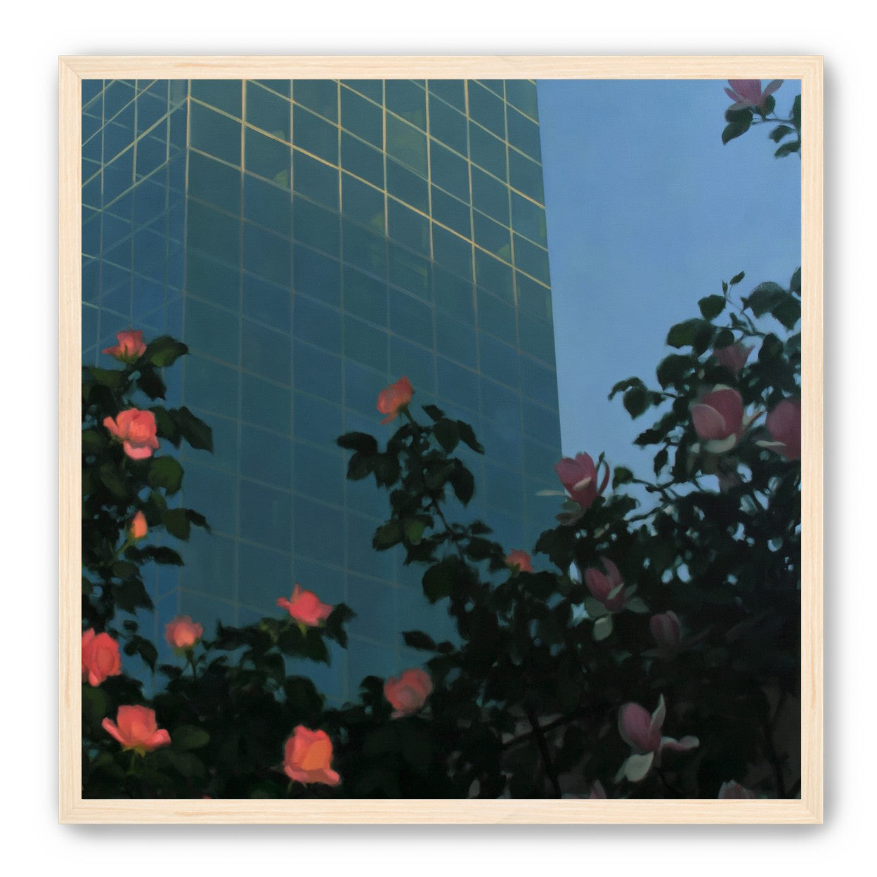 Roses beneath blue towers