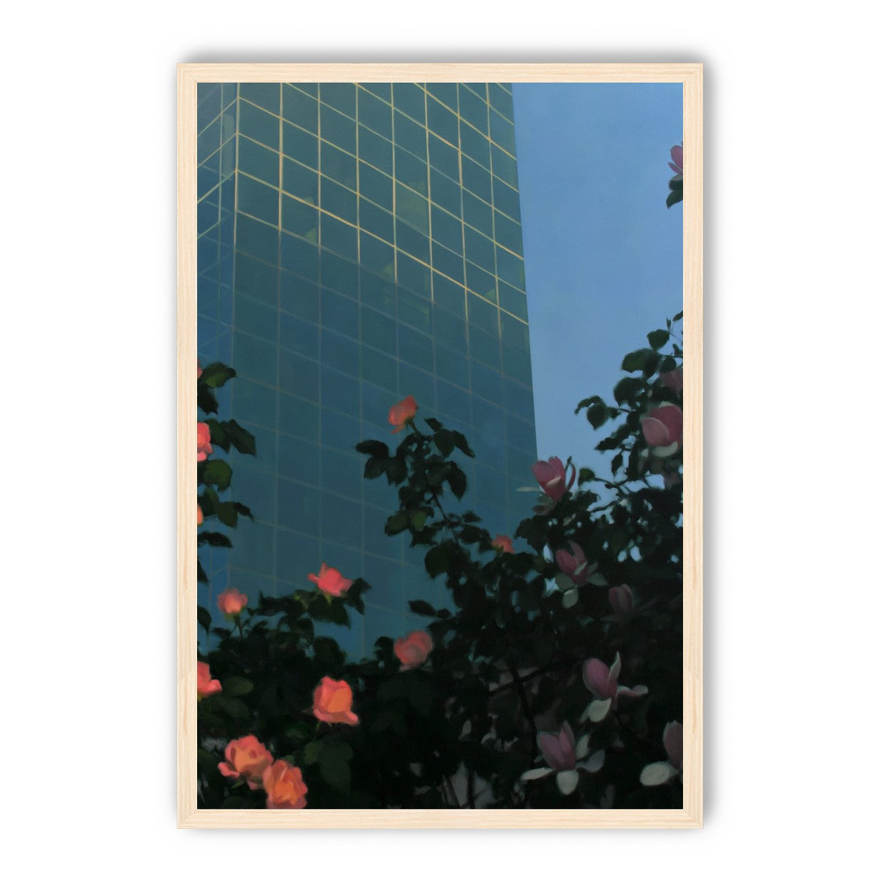 Roses beneath blue towers