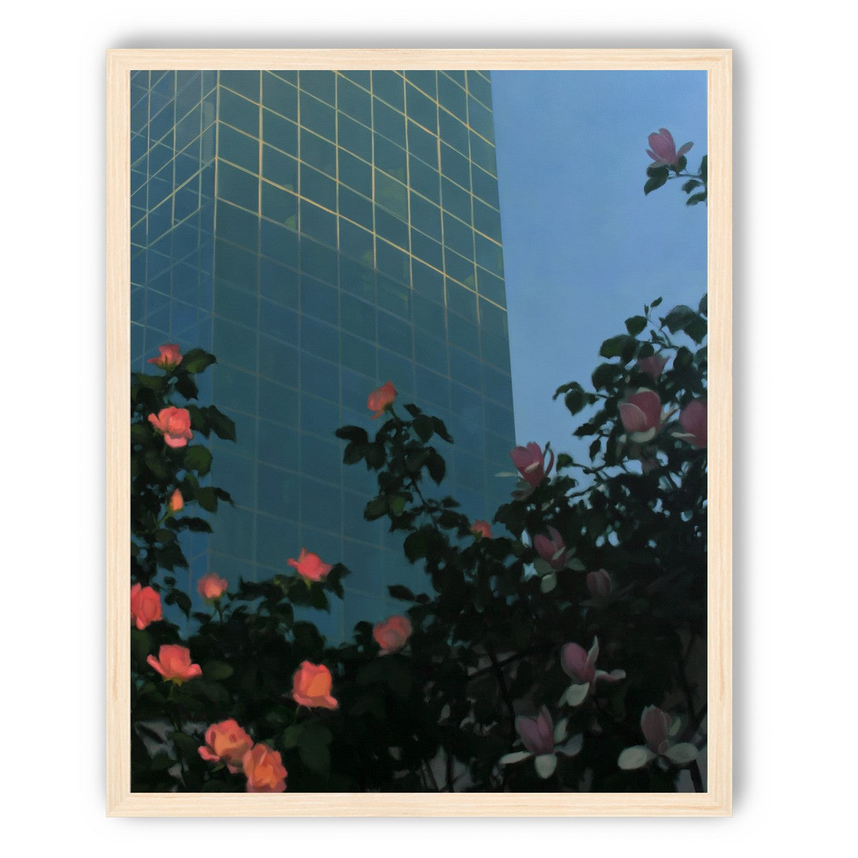Roses beneath blue towers